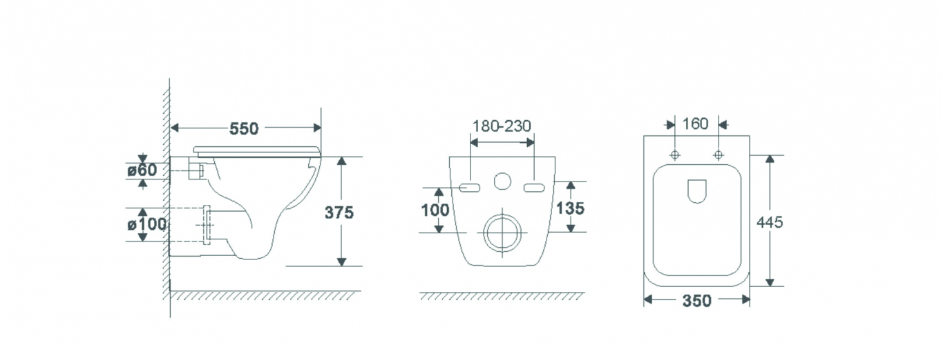 Подвесной унитаз Terminus Ното 550х350 белый