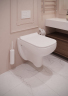 Подвесной унитаз Terminus Ното 550х350 белый