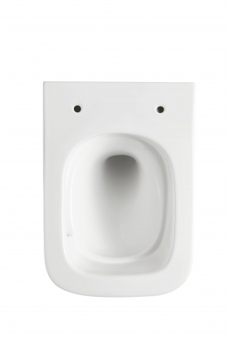 Подвесной унитаз безободковый Terminus Ватикан 490х340 белый