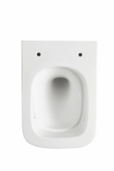 Подвесной унитаз безободковый Terminus Ватикан 490х340 белый