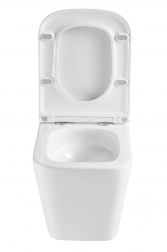 Подвесной унитаз безободковый Terminus Ватикан 490х340 белый