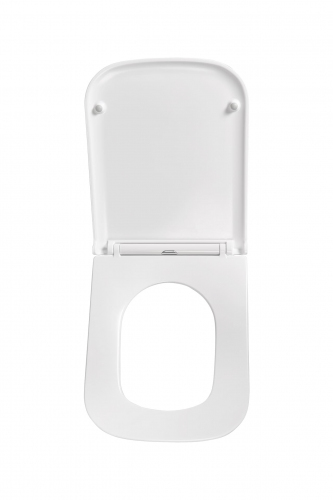 Сиденье для унитаза Terminus Ватикан цвет белый