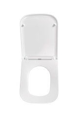 Сиденье для унитаза Terminus Ватикан цвет белый